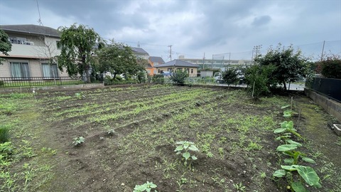 IMG_E6168●_R