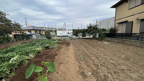 2025-10-13 12.57.43-1●_R