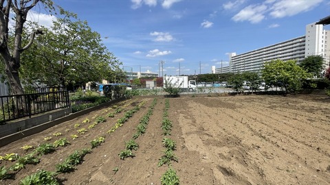 IMG_E5578●_R