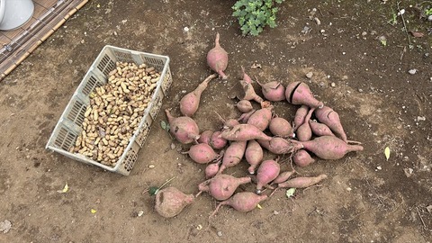 2025-10-18 13.11.31-1●_R