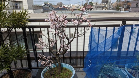 2023-03-12 11.26.59●_R