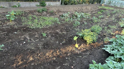 2024-10-14 16.09.04●_R