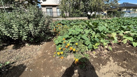 2025-10-18 11.13.23●_R