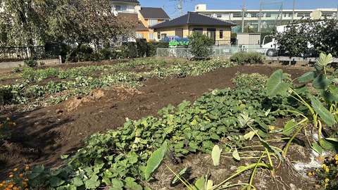 2024-11-04 12.54.47●_R