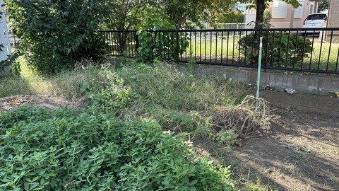 2024-09-15 15.14.07●_R