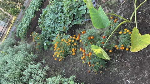 2024-10-14 16.11.05●_R