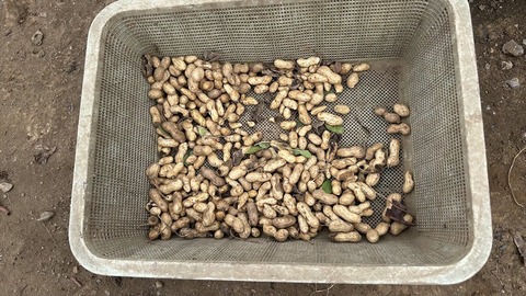 2025-10-13 12.47.43●_R