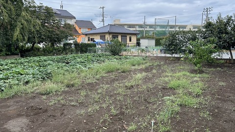 2025-09-15 14.34.43_R