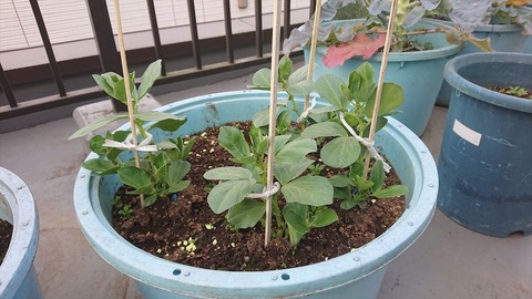 2020-12-12 15.51.39●_R