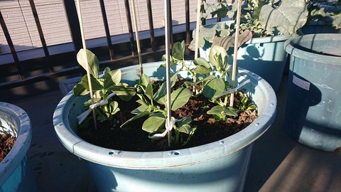 2020-11-22 15.02.40●_R