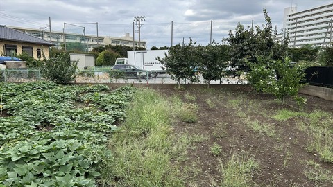 2025-09-15 14.34.56_R