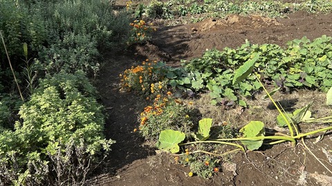 2024-11-04 12.55.42●_R