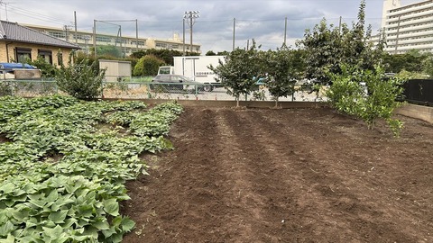 2025-09-15 16.30.39_R