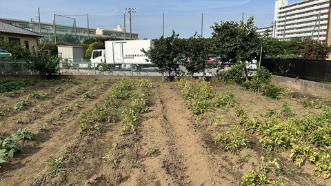 2025-06-29 16.03.19●_R