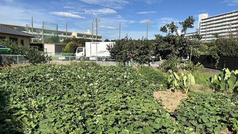 2024-09-15 15.13.47●_R