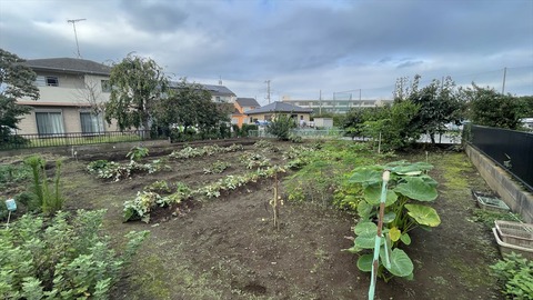 IMG_E6705●_R