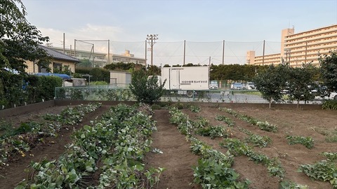 2025-08-23 17.51.08●_R