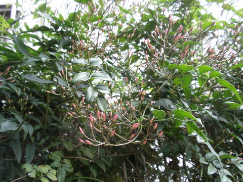 P4170106