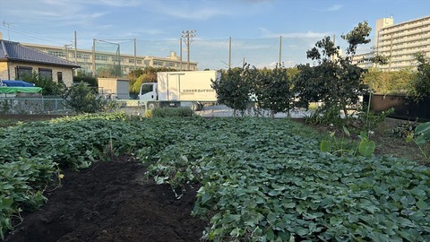 2024-10-14 16.08.39●_R