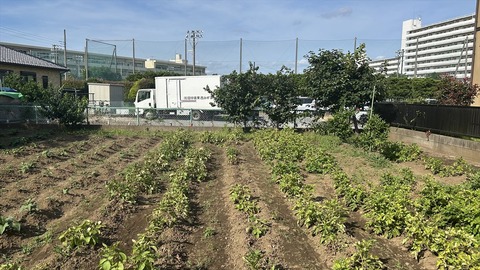 2025-06-21 15.55.38-1●_R