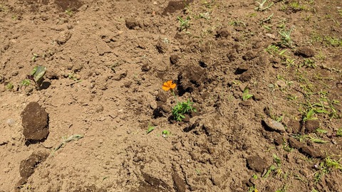 2024-05-25 13.06.52●_R