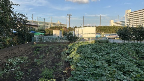 2024-10-14 16.08.56-1●_R