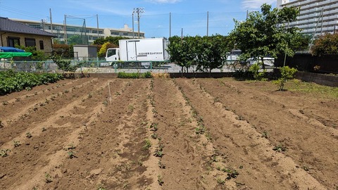 2024-05-25 13.06.01-1●_R