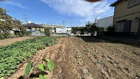 2025-10-18 11.12.43●_R