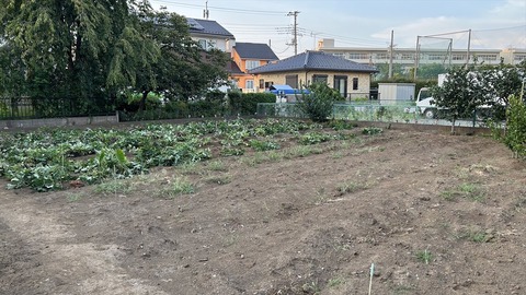 2025-08-23 17.50.44●_R