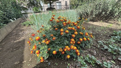 2025-10-13 10.38.59●_R