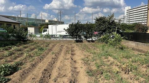 2025-07-13 15.56.03●_R