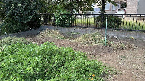 2024-09-15 17.38.53●_R