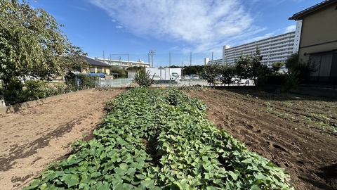 2025-10-18 11.12.58●_R