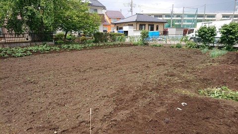 2021-05-02 12.48.24●_R