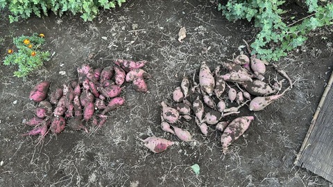 2024-10-14 15.33.44●_R