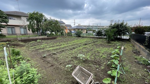 IMG_E6175●_R
