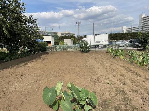 2022-09-17 14.03.55●_R