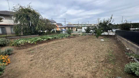 2025-10-13 12.57.31-1●_R