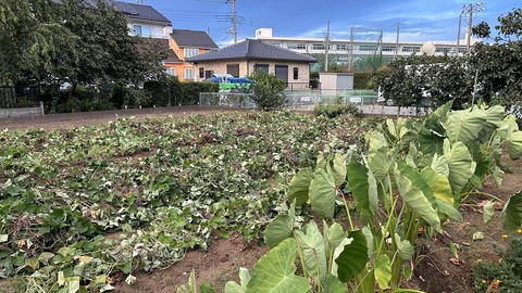 2024-09-15 17.38.21●_R