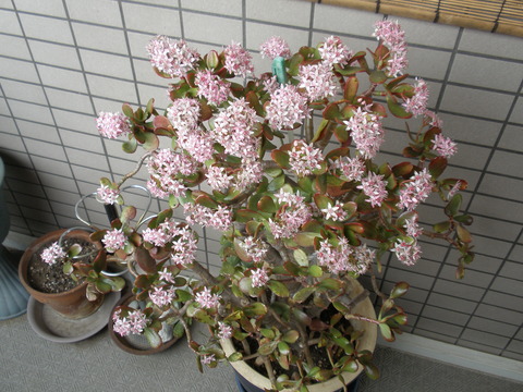 P3190104