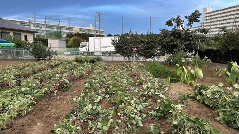 2024-09-15 17.38.35●_R