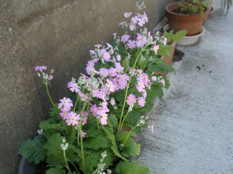 P3310066