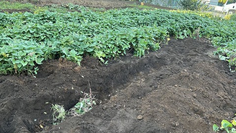 2024-10-14 16.08.43●_R