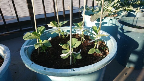 2020-11-13 15.13.52●_R