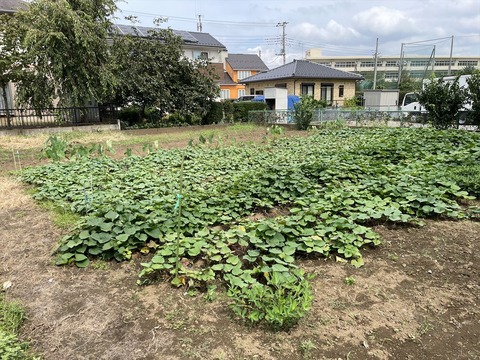 2022-09-17 11.04.40●_R