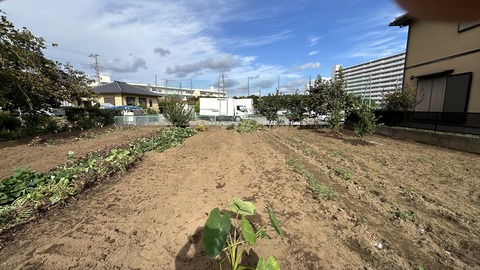 2025-10-18 13.48.09●_R