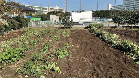 2024-11-04 12.55.16●_R