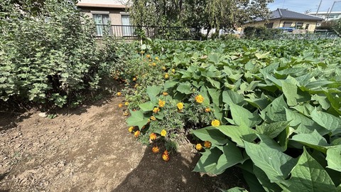 2025-10-13 10.38.40●_R