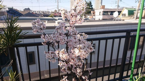 2021-03-14 15.29.01●_R