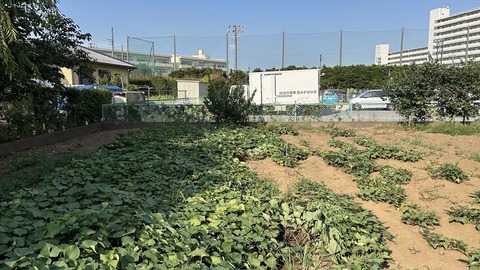 2025-08-23 15.58.26-1●_R